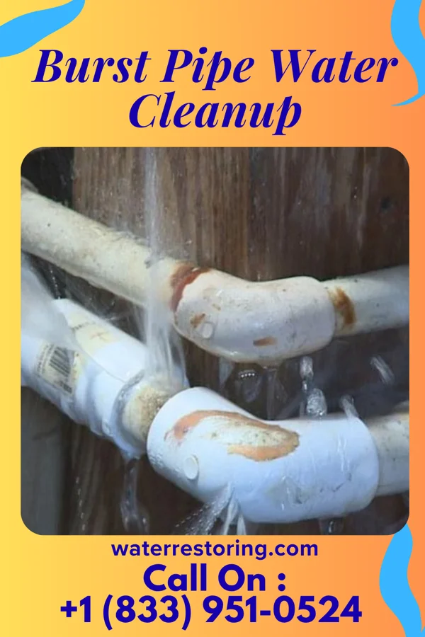 Burst Pipe Water Cleanup in Irondale, MO