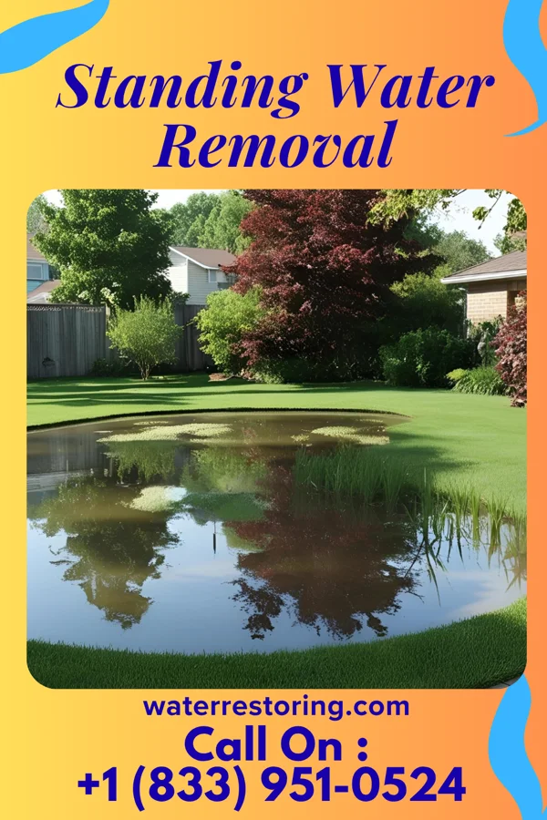 Standing Water Removal in Irondale, MO